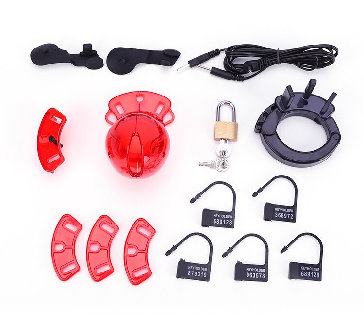 Electro Shock CB6000 Chastity Cage Ball Stretcher,Electric Stimulation Cock Cage,BDSM Timer Lock Ring Male Chastity Belt Sex Toy