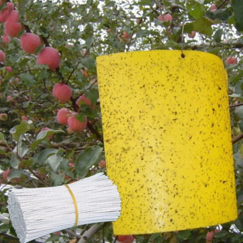 NEW Arrivals 50-100pcs Strong Fruit Fly Traps Bugs Yellow Sticky Board Pest Control Insect killer Two-Sided Glue Paper Trap for Kill Pests