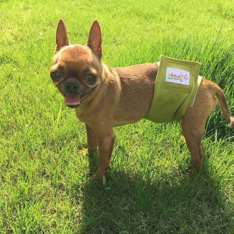 Washable Male Dog Belly Band Highly Absorbent Dog Diaper for Male Dogs Adjustable Cartoon Printing Dog Shorts Physiological Pant