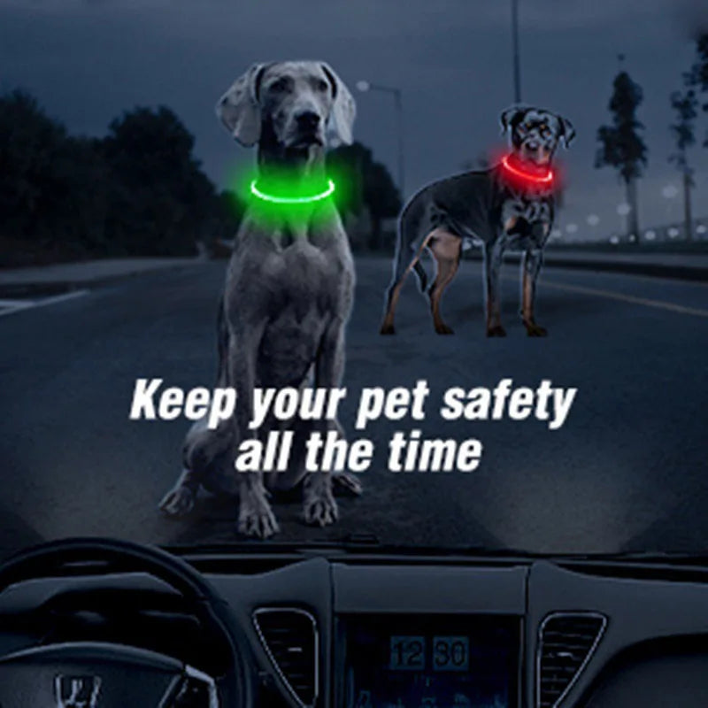 NEW Arrivals Led Dog Collar Luminous USB Cat Dog Collar Adjustable Fit for Small Medium Large Dogs Led Light Glowing Loss Prevention LED Collar For Dogs Pet Dog Accessories