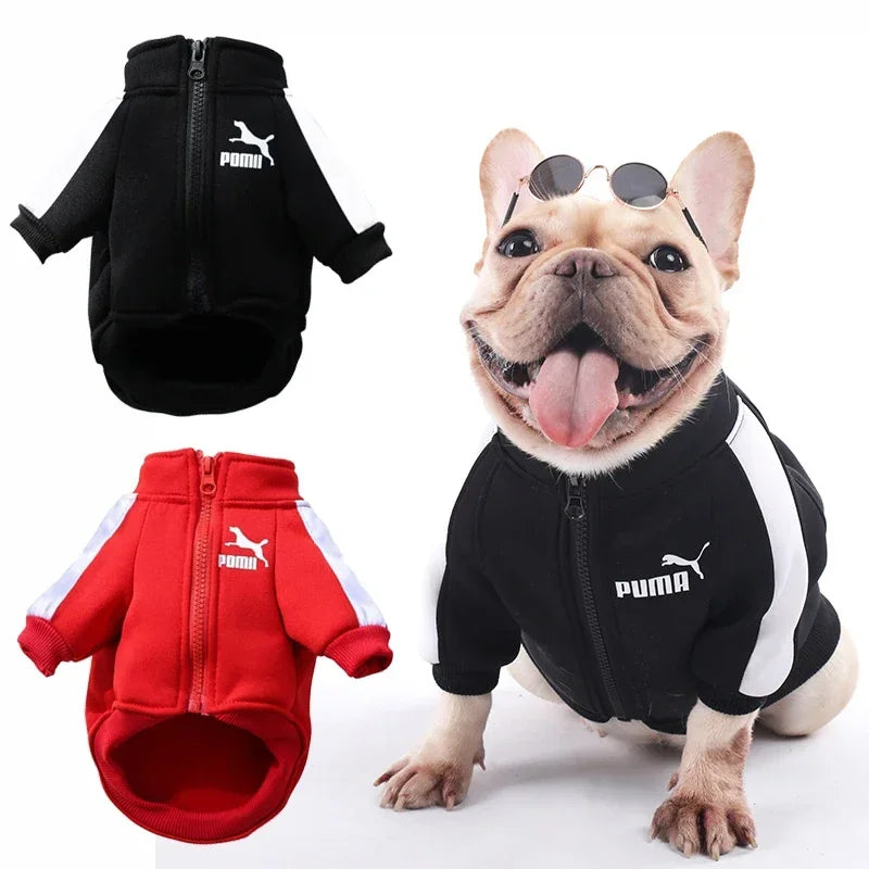 S-4XL PUMA Warm Dog Baseball Clothes for Small Medium Dogs Cat Sweater Pet Clothing for Chihuahua Bulldogs Puppy Costume Winter