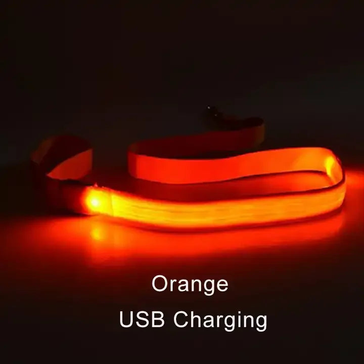 NEW LED Light Up Night Walking Dog Leash Luminous Rope Lead Leash For Dog Safety Flashing Glowing Dog Collar Harness Electronic Pet Accessories Pets Supplies