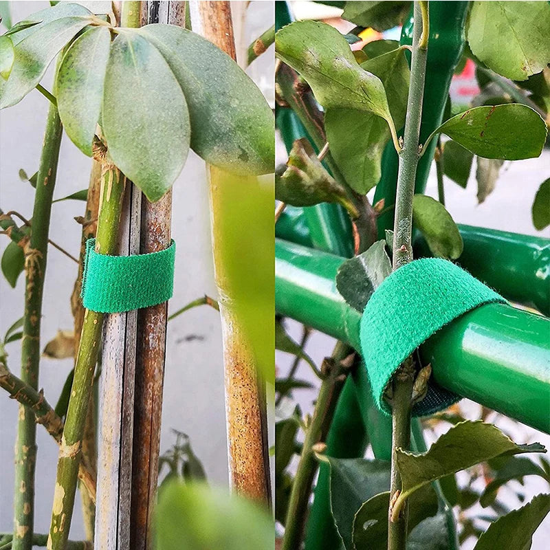 3PCS Rolls Green Garden Twine Plant Ties Nylon Plant Bandage Garden Hook Loop Bamboo Cane Wrap Support Garden Accessories