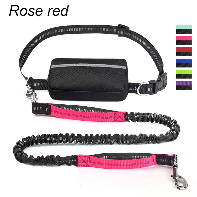 NEW Arrivals 2 in 1 Set Multifunctional Sports Waist Bag Extended Hands Free Leash Adjustable for Dog Outdoor Walking Hiking and Leash Pet Running Leash with Waist Bag Pets Supplies