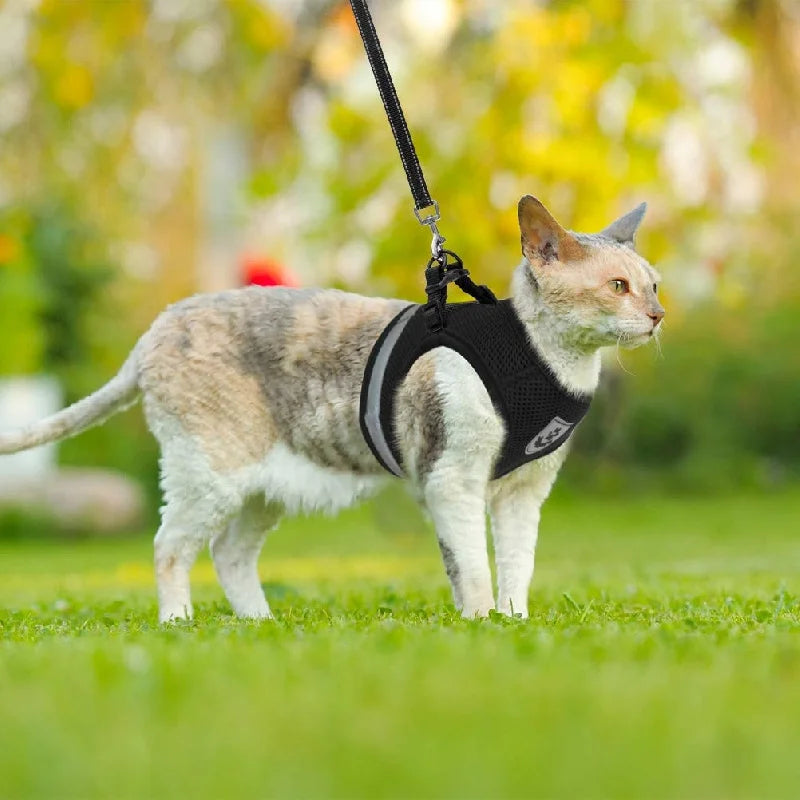NEW Arrivals Breathable Cat Harness And Leash Escape Proof Pet Clothes Kitten Puppy Dogs Vest Adjustable Easy Control Reflective Cat Harness Pets Safety Accessories