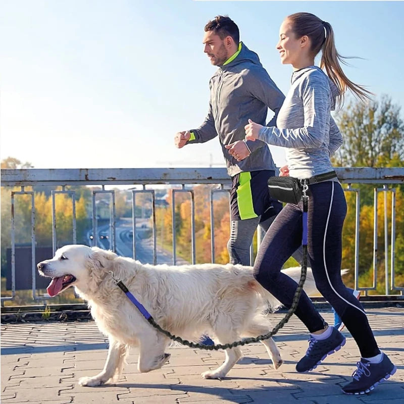 NEW Arrivals 2 in 1 Set Multifunctional Sports Waist Bag Extended Hands Free Leash Adjustable for Dog Outdoor Walking Hiking and Leash Pet Running Leash with Waist Bag Pets Supplies