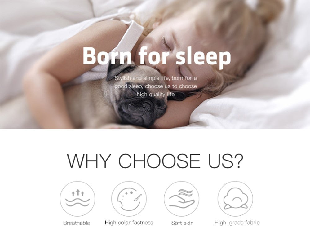 Pride Flag Duvet Cover King Queen Size Rainbow Stripes Bedding Set LGBT Pride Polyester Comforter Cover for Teen Adult Woman Men