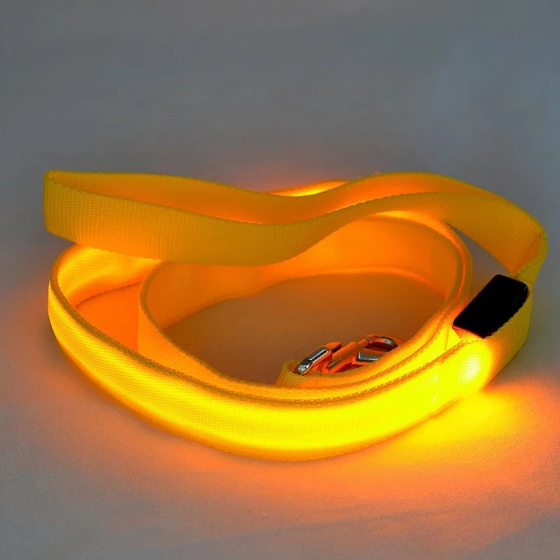 NEW LED Light Up Night Walking Dog Leash Luminous Rope Lead Leash For Dog Safety Flashing Glowing Dog Collar Harness Electronic Pet Accessories Pets Supplies