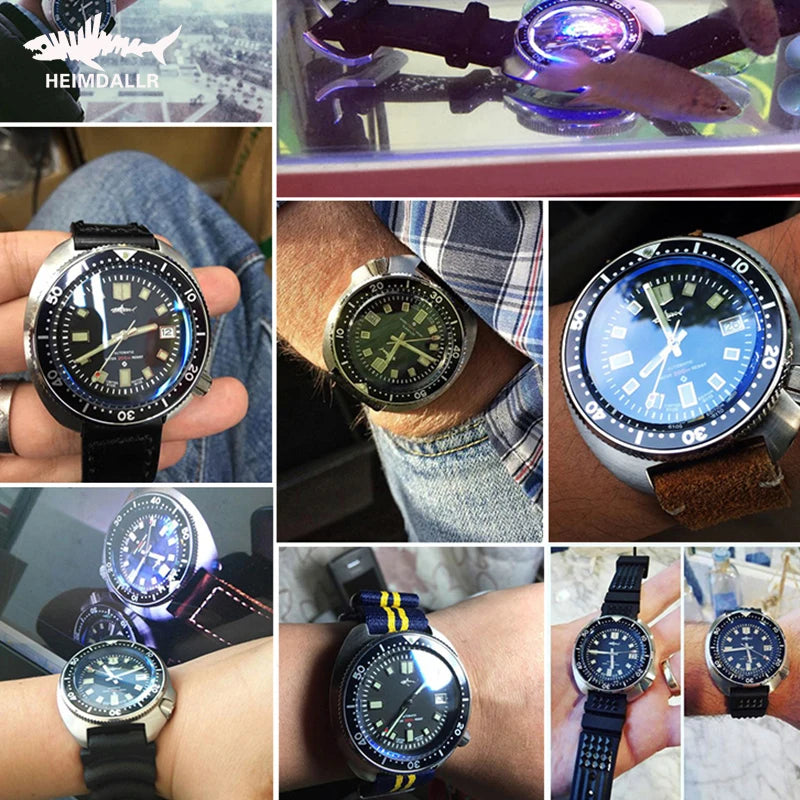 NEW Arrivals 4 Colors Diver Watch Abalone Women Men Dive Watch 20ATM Water Resistant C3 Luminous Sapphire Crystal NH35 Automatic Movement Machinery Wristwatch Sports Accessories