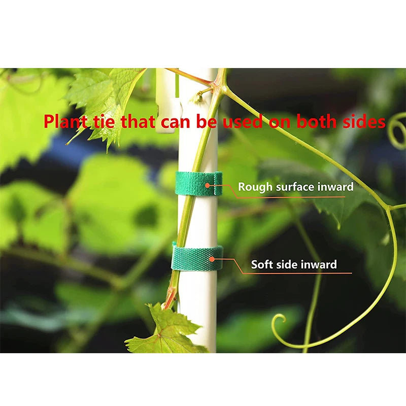3PCS Rolls Green Garden Twine Plant Ties Nylon Plant Bandage Garden Hook Loop Bamboo Cane Wrap Support Garden Accessories