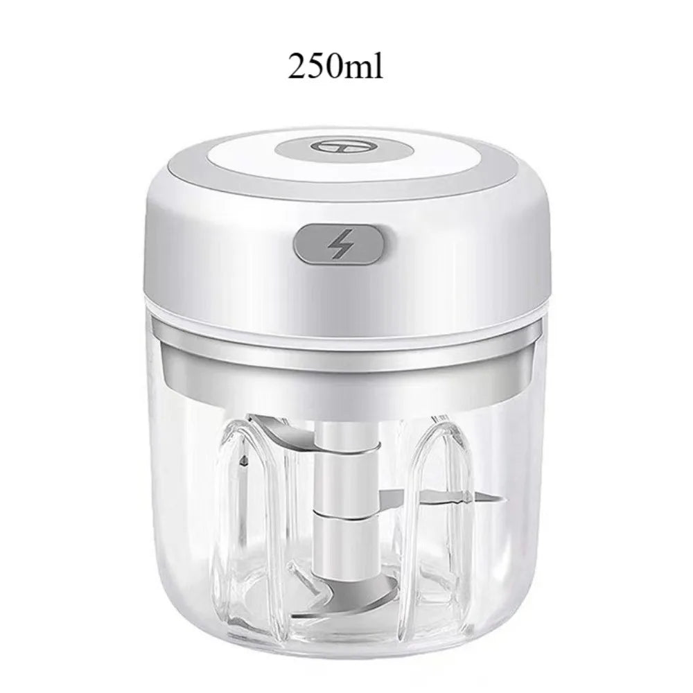 Electric Garlic Mincer 250ML Vegetable Chopper Food Chopper, USB Mini Garlic Mincer, Onion Chopper Portable Small Food Processor