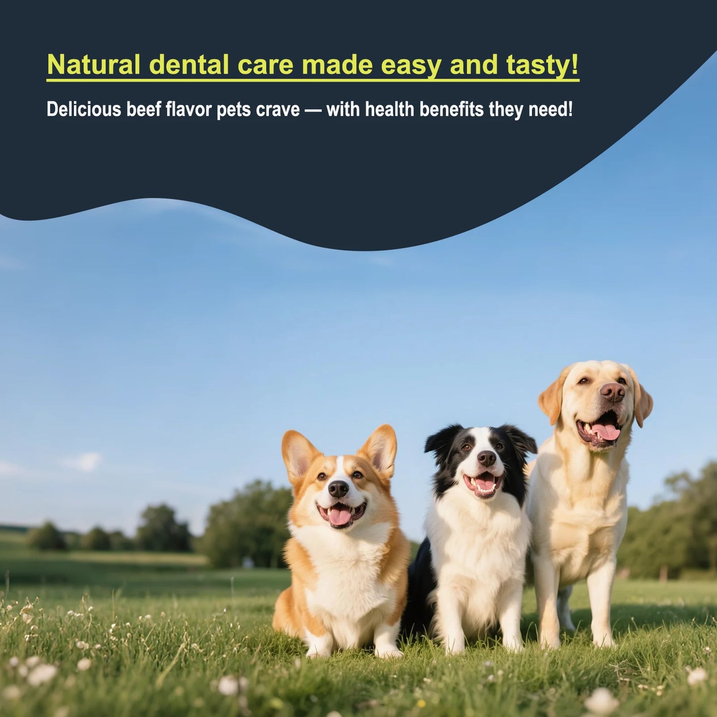 NEW Dogs Cats 100g Beef Flavor Pet Dental Powder for Dogs & Cats – Advanced Tartar & Plaque Control, Fresh Breath, Oral Health Hygiene Support Pets Health Care Supplies