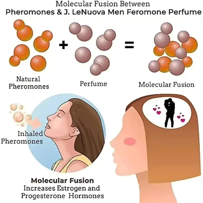 NEW 10PCS Set Strong Pheromone For Men Attract Women Long Lasting Pheromone Men Fragrance Oil For Business Social Events Date Nights Sensory Perfume Sets