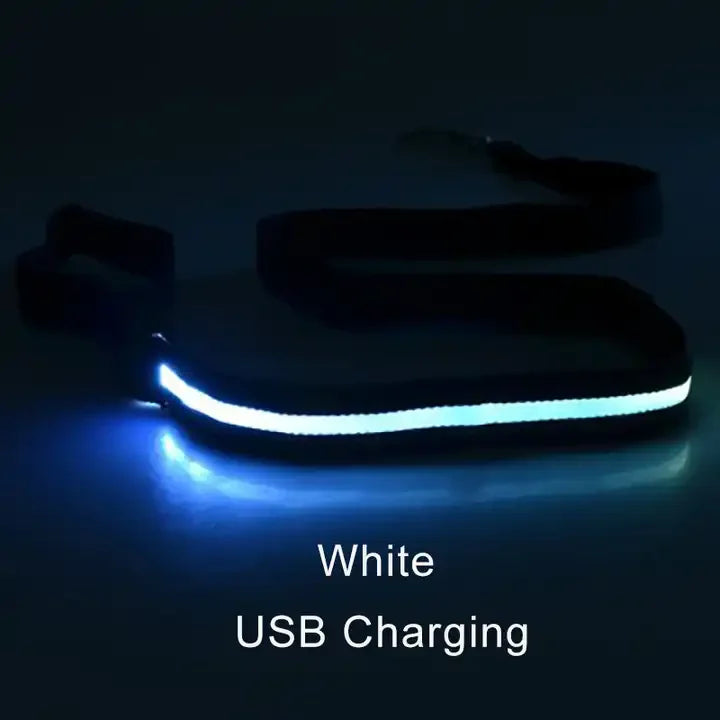 NEW LED Light Up Night Walking Dog Leash Luminous Rope Lead Leash For Dog Safety Flashing Glowing Dog Collar Harness Electronic Pet Accessories Pets Supplies