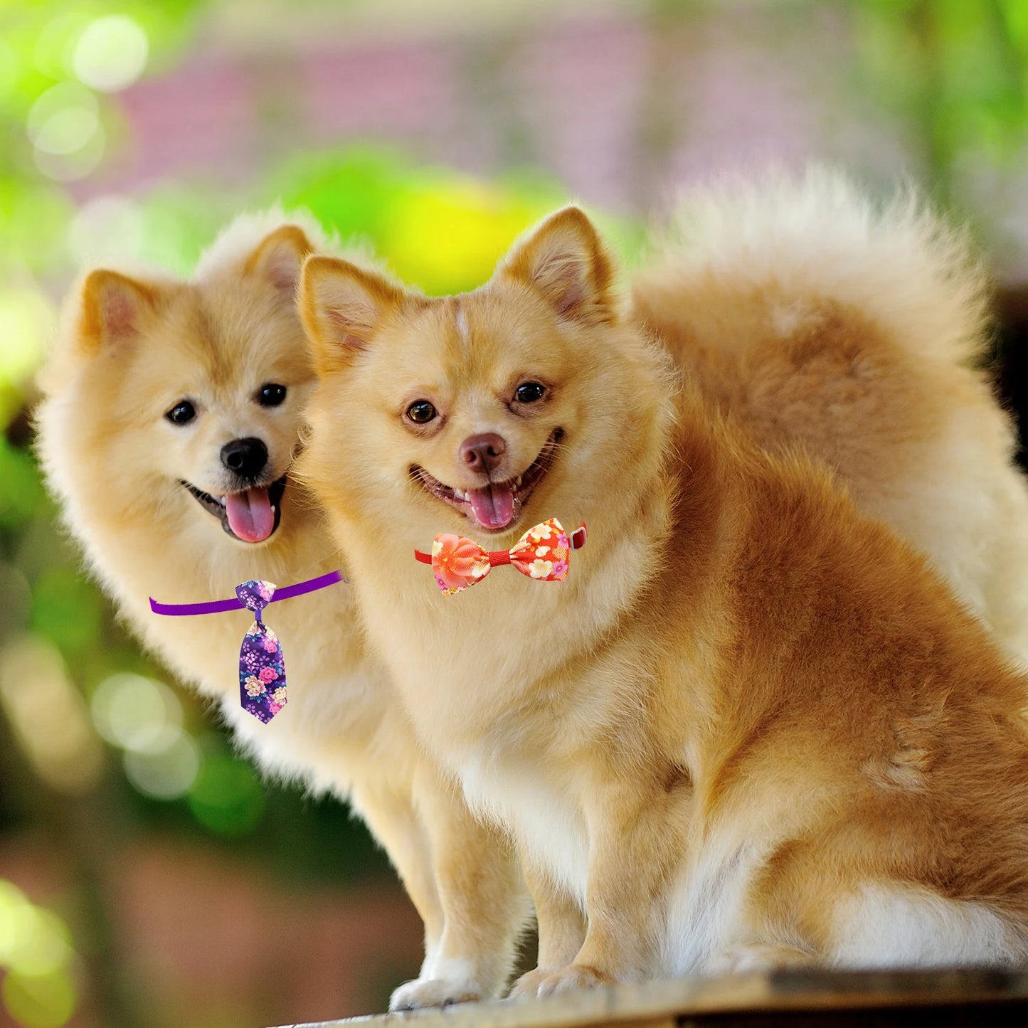 50/100/200Pcs Dog Bows Pet Cat Dog Grooming Bowties Adjustable Collar Dog Bow Ties Bowknot Accessories For Small Pets