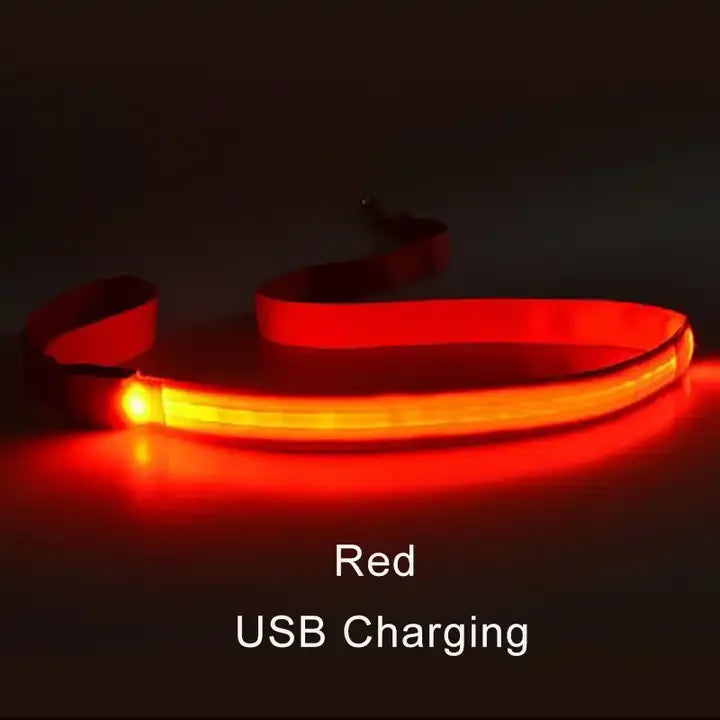 NEW LED Light Up Night Walking Dog Leash Luminous Rope Lead Leash For Dog Safety Flashing Glowing Dog Collar Harness Electronic Pet Accessories Pets Supplies