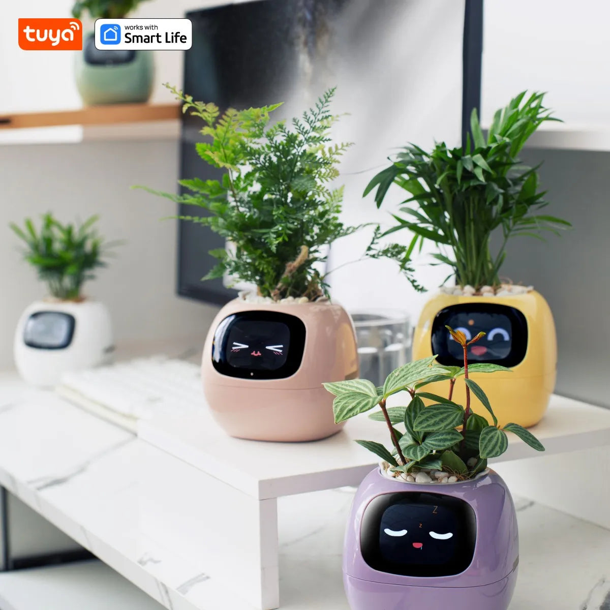 TUYA APP Ivy Smart Planter ,Endless Fun Over 49 Rich Expressions,7 Smart Sensors , AI Chips Make Raising Plants Easy and Fun Home Gardening Supplies