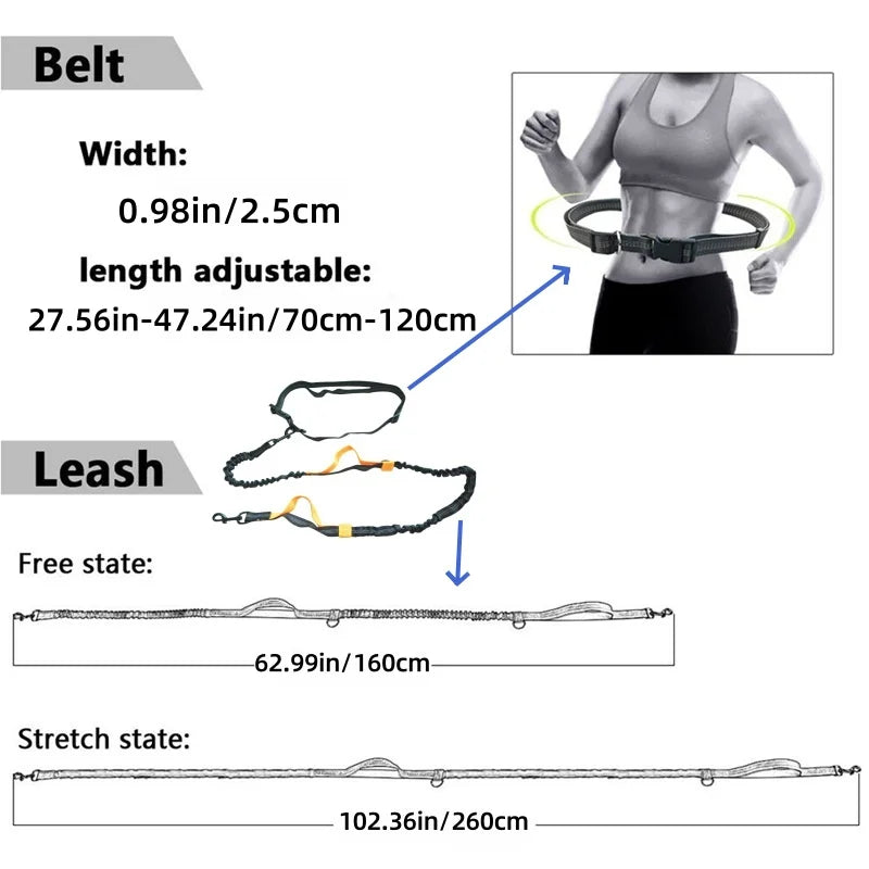 NEW Arrivals 2 in 1 Set Hands Free Dog Leash, Adjustable Waist Leash for Dog Handle Bungee with Reflective Stitches Outdoor Walking Hiking Running Leash Pets Accessories