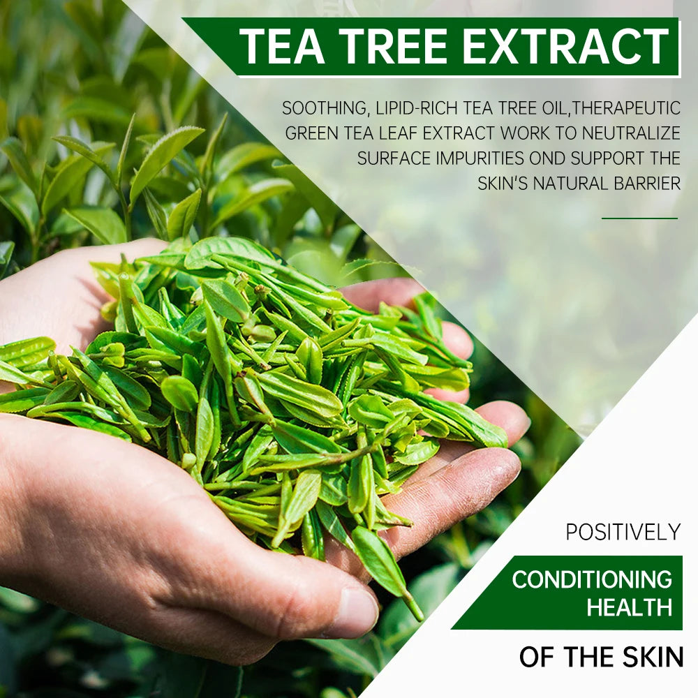 NEW Arrivals TEA Tree Facial Mask Oil Control Shrink Enlarged Pores Blackhead Remover Nourishing Face Clay Mask Korean Skin Care Supplies Home Ladies Beauty Salon SPA Products