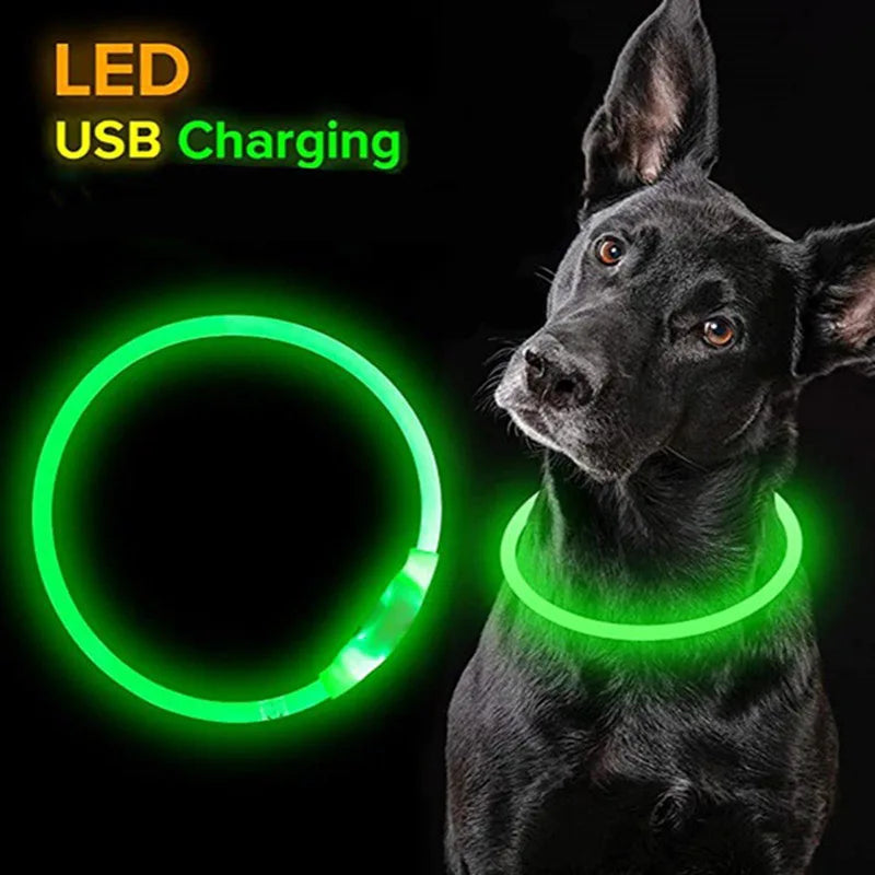 NEW Arrivals Led Dog Collar Luminous USB Cat Dog Collar Adjustable Fit for Small Medium Large Dogs Led Light Glowing Loss Prevention LED Collar For Dogs Pet Dog Accessories
