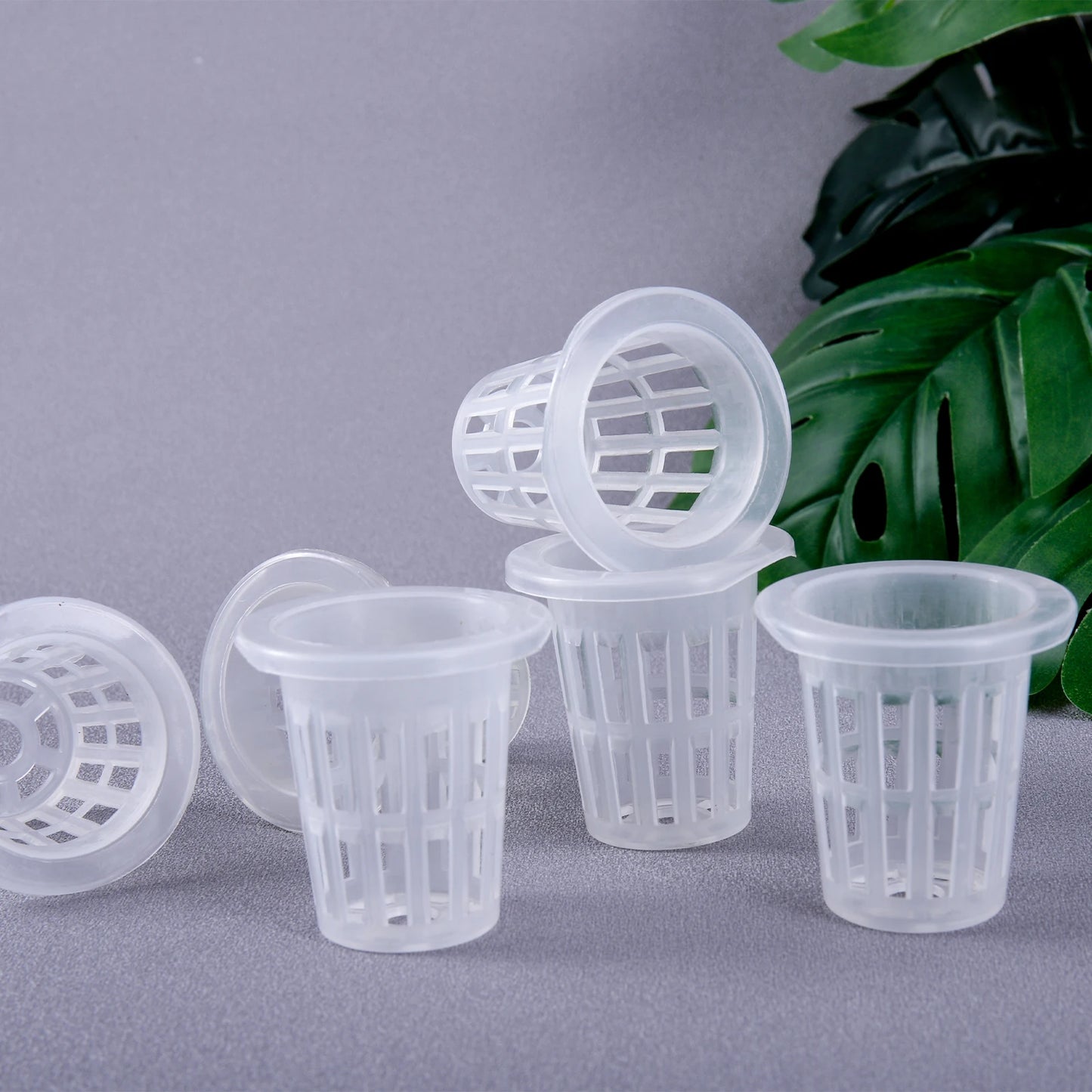 NEW Arrivals 50PCS Set Hydroponic Planting Basket Soilless Cultivation Net Pots Plant Vegetable Growing Nursery Cup Sponge Fixator Container Home Garden Supplies