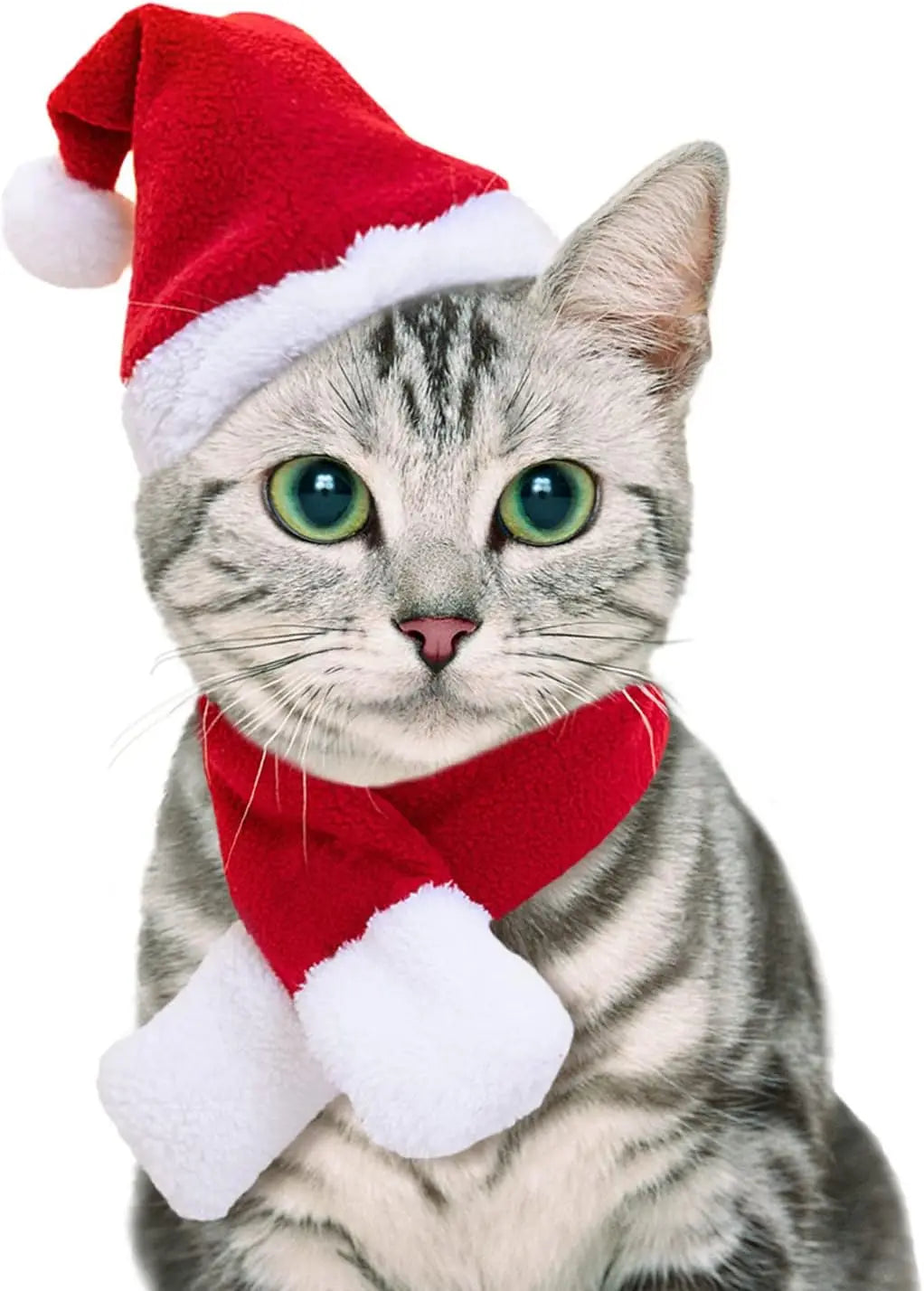 Christmas Cat Costume Small Dog Santa Claus Hat with Scarf Kitty Xmas Outfit Apparel Pet Santa Claus Set for Kitten, Puppy