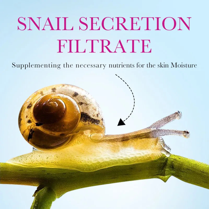 300g Snail Collagen Face Cream Gel Creams Firming Repair Brightening Moisturizing Facial Creams Beauty Face Skin Care Products