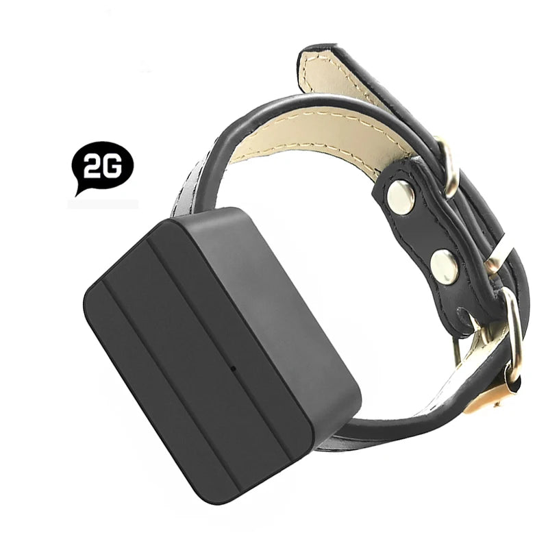 NEW Arrivals 4G Mini GPS Tracker for Dogs Pet Children Personal Car Locator Anti-Lost Tracking Device Voice Monitor GSM GPRS Online Free Website APP Pets Security Accessories