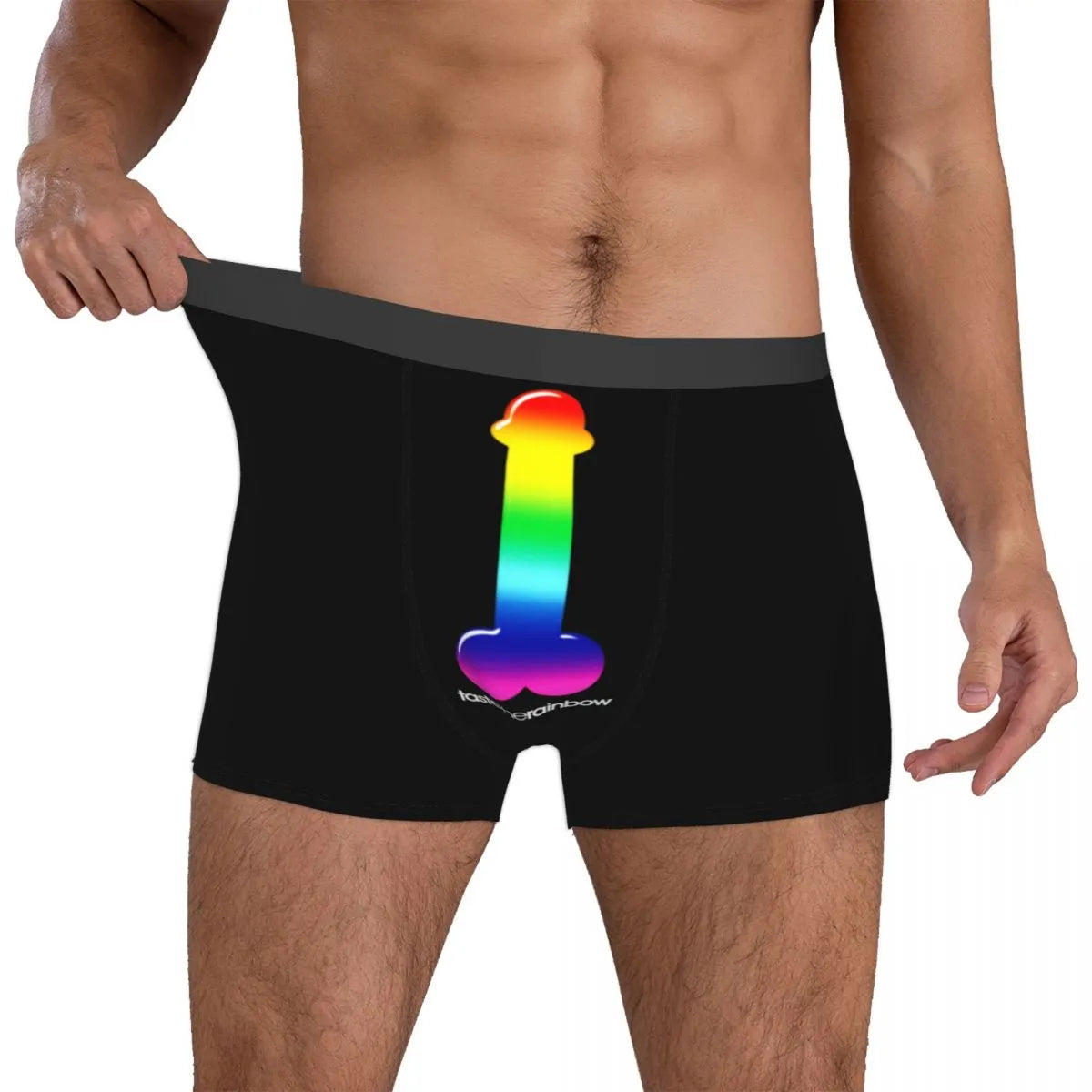 Gay Pride Rainbow Penis Dick Men's Boxers Cozy LGBT LGBTQ Underpants