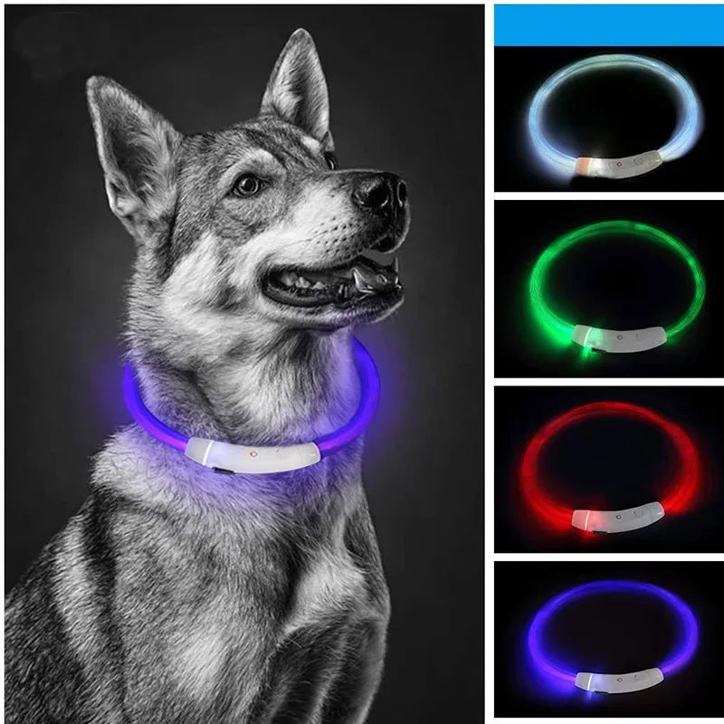NEW Arrivals Led Dog Collar Luminous USB Cat Dog Collar Adjustable Fit for Small Medium Large Dogs Led Light Glowing Loss Prevention LED Collar For Dogs Pet Dog Accessories