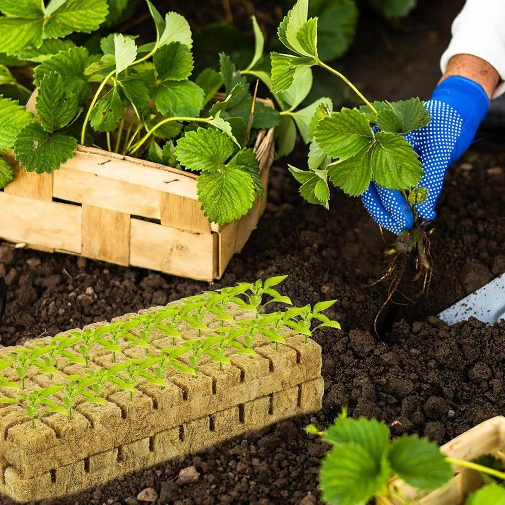 NEW Arrivals 100-200-300-500PCS Set Rockwool Hydroponic Grow Media Cubes Garden Seedling Block Water Cultivation Plant Seed Sowing Germination Blocks Home Garden Supplies