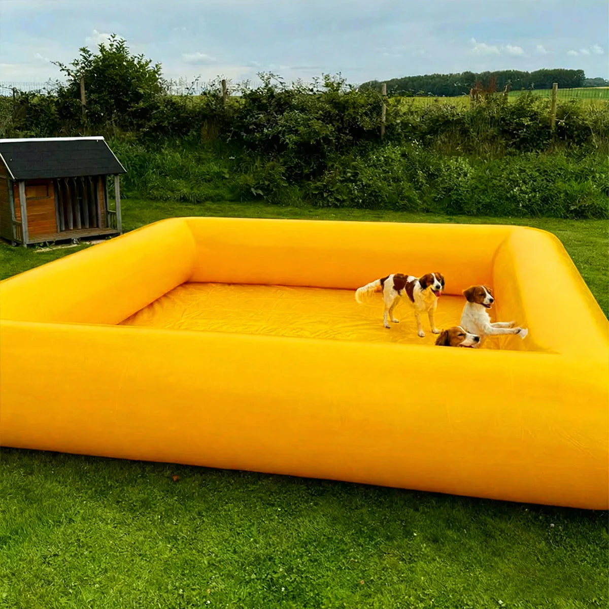 2x2/3x3/4x4M 4 Colors for Home Villa Large Pet Airtight Inflatable Swimming Pool, Outdoor Yard Dog Bathing Large Blow Up Tank Inflatable Bath Tub For Dogs with Air Pump Set Pets Summer Water Games