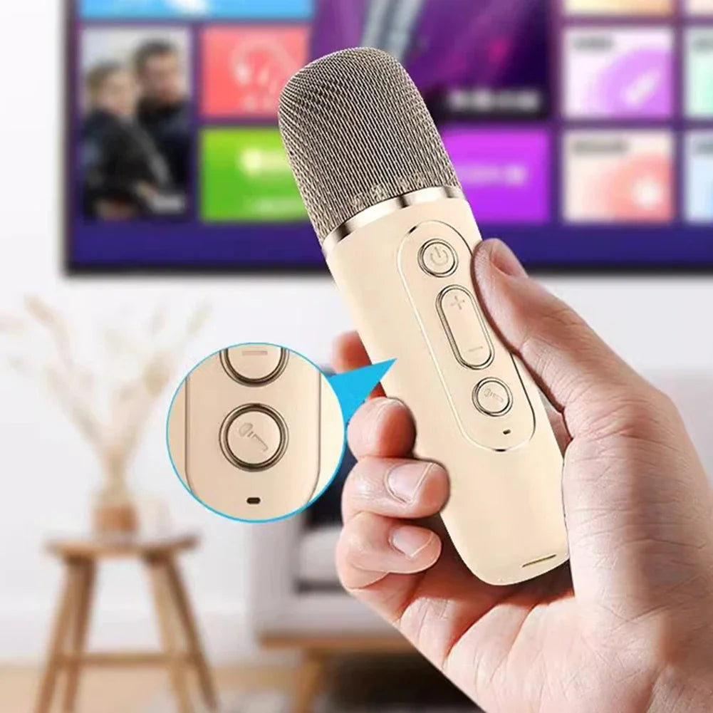NEW Arrivals K12 Karaoke Machine Portable Bluetooth 5.3 PA Speaker System with 1-2 Wireless Microphones Home Family Singing Children's Gifts