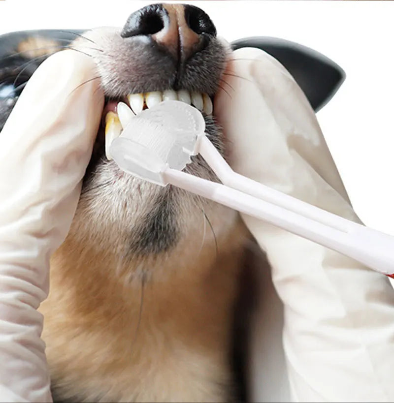 NEW 3 Sided Soft Dog Teeth Brush Head Toothbrush Oral Health Teddy Cleaning Dog Cat Brush Bad Breath Teeth Care Tool Cleaning Mouth Pets Hygiene Supplies