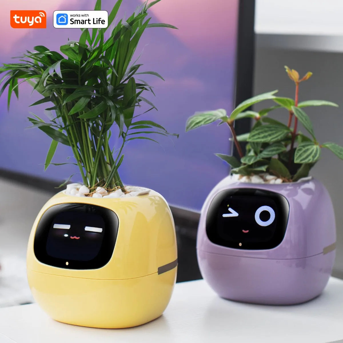 TUYA APP Ivy Smart Planter ,Endless Fun Over 49 Rich Expressions,7 Smart Sensors , AI Chips Make Raising Plants Easy and Fun Home Gardening Supplies