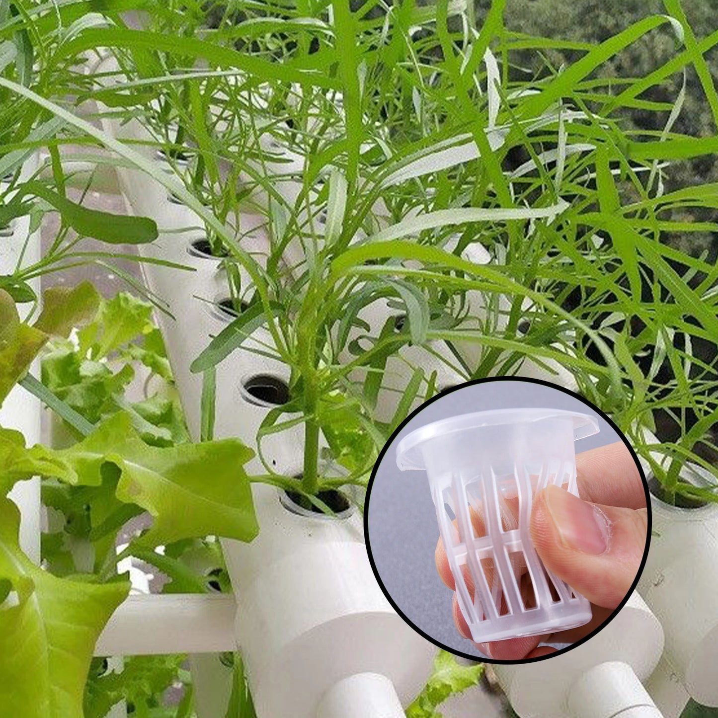 NEW Arrivals 50PCS Set Hydroponic Planting Basket Soilless Cultivation Net Pots Plant Vegetable Growing Nursery Cup Sponge Fixator Container Home Garden Supplies