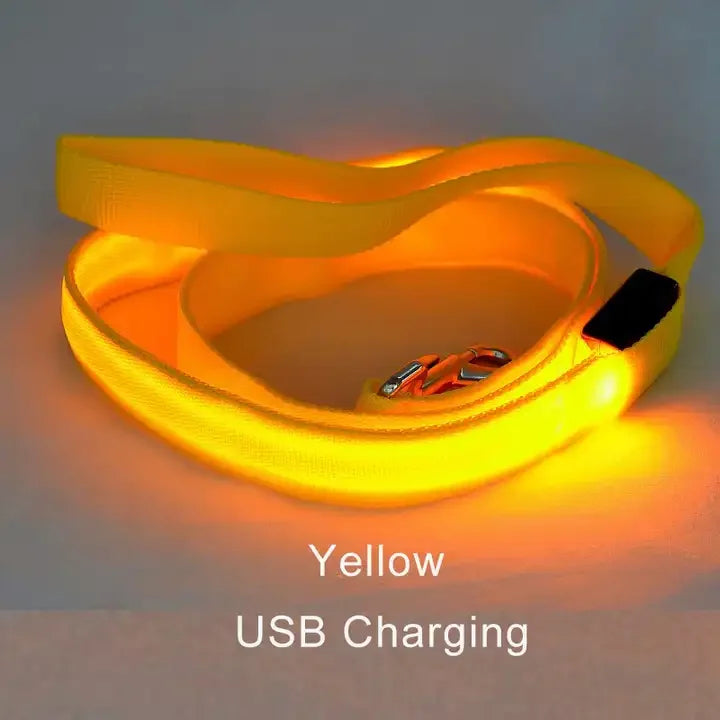 NEW LED Light Up Night Walking Dog Leash Luminous Rope Lead Leash For Dog Safety Flashing Glowing Dog Collar Harness Electronic Pet Accessories Pets Supplies