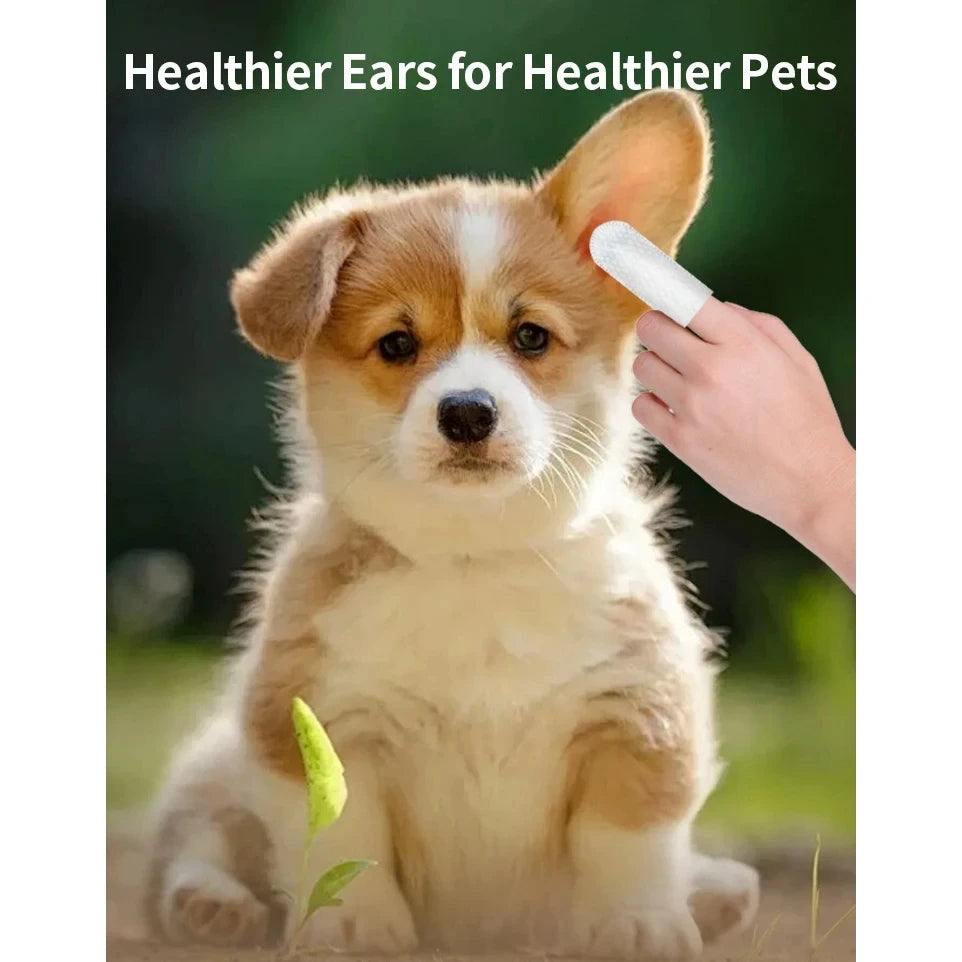 NEW Arrivals 50PCS Pet Korean Cleaning Products Ear Cleaning Wipes Ear Care Fingertips Ear Mite Removal Cat and Dog Ear Hygiene Products Pets Health Care Supplies