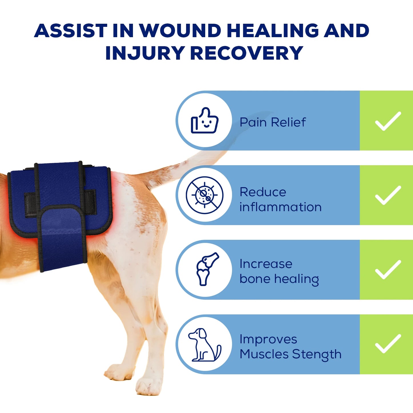 Cold Laser Therapy Device for Dogs Infrared Light Therapy for Pets Red Light Therapy Belt for Joint and Muscle Pain Relief