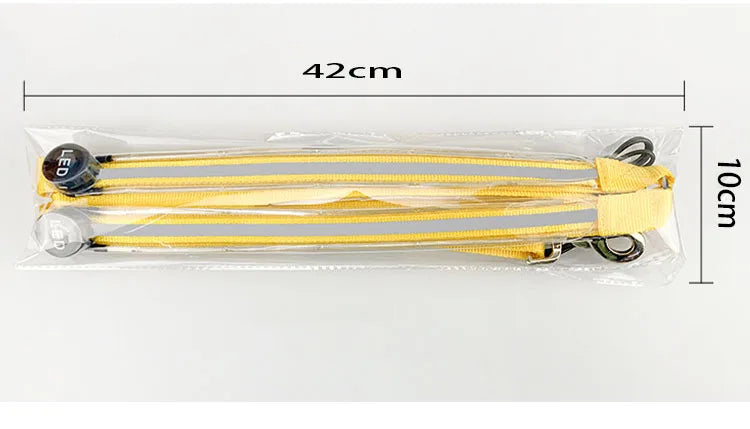 Horse Equipment Breastplate Nylon LED Night Flashing Light Bar Harness Outdoor Sports USB Charge Equestrian Riding Decorations Belt
