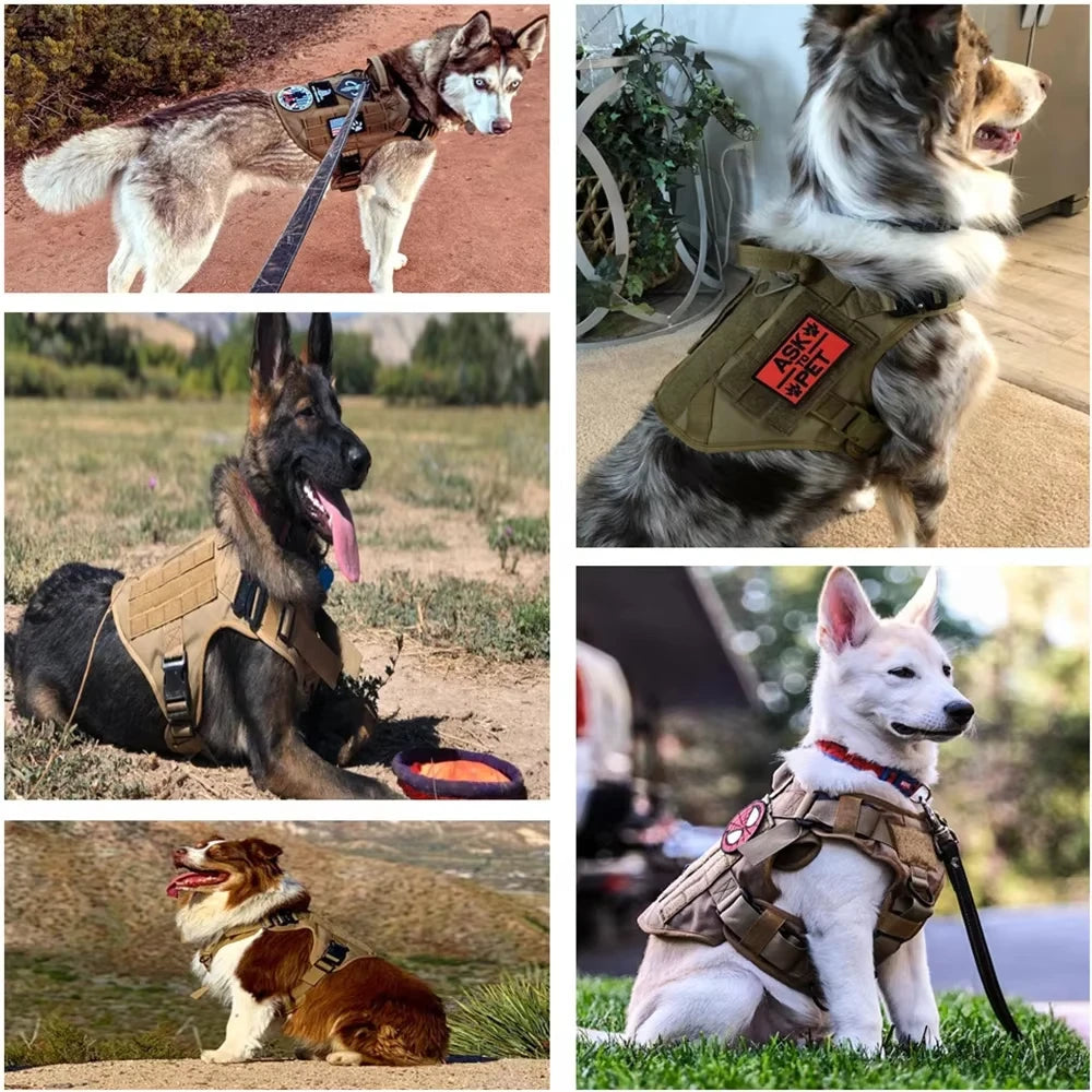NEW Arrivals Tactical Dog Harness Adjustable Pet Chest Strap Working Training Easy Control Pet Vest-Type Service Traction Pets Supplies