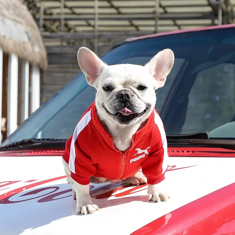S-4XL PUMA Warm Dog Baseball Clothes for Small Medium Dogs Cat Sweater Pet Clothing for Chihuahua Bulldogs Puppy Costume Winter
