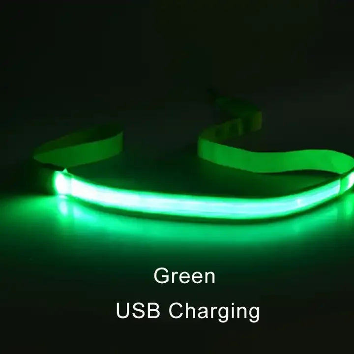 NEW LED Light Up Night Walking Dog Leash Luminous Rope Lead Leash For Dog Safety Flashing Glowing Dog Collar Harness Electronic Pet Accessories Pets Supplies