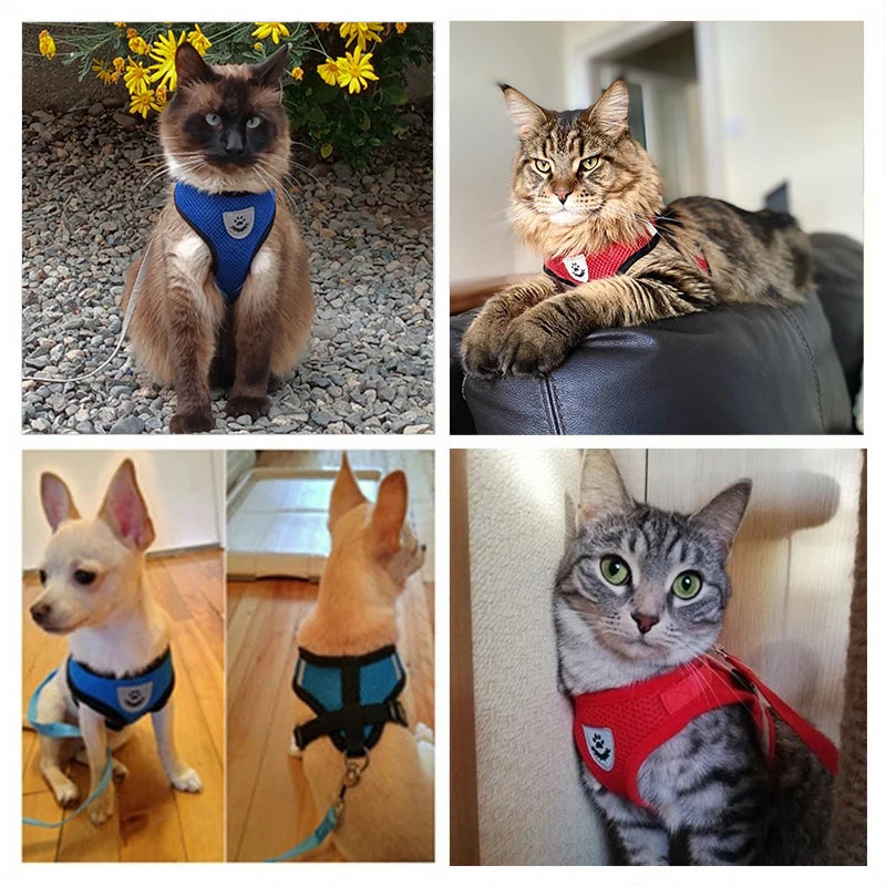 NEW Cat Harness Adjustable Vest Walking Traction Rope Set for Dog Collar Breathable Mesh Harness for Small Medium Cat Dog Pet Lead Reflective Strips Pets Supplies
