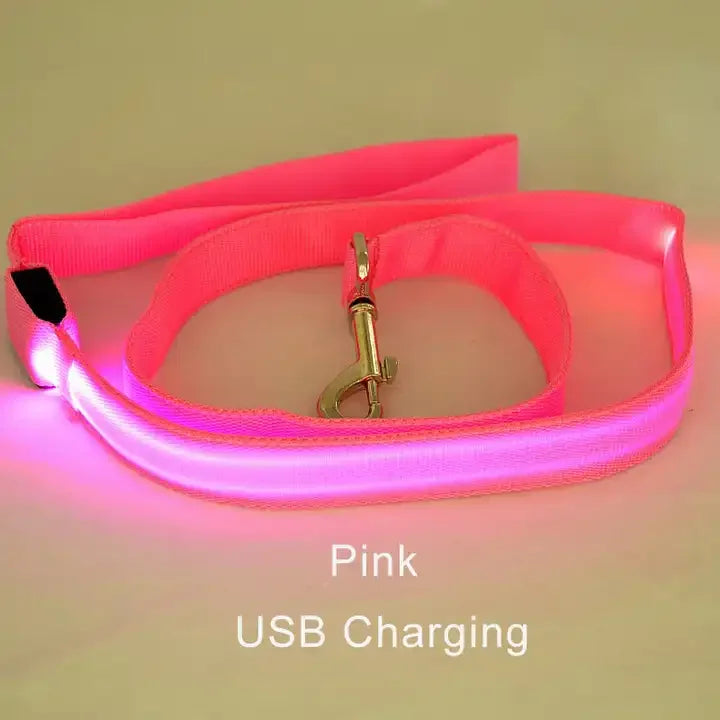 NEW LED Light Up Night Walking Dog Leash Luminous Rope Lead Leash For Dog Safety Flashing Glowing Dog Collar Harness Electronic Pet Accessories Pets Supplies