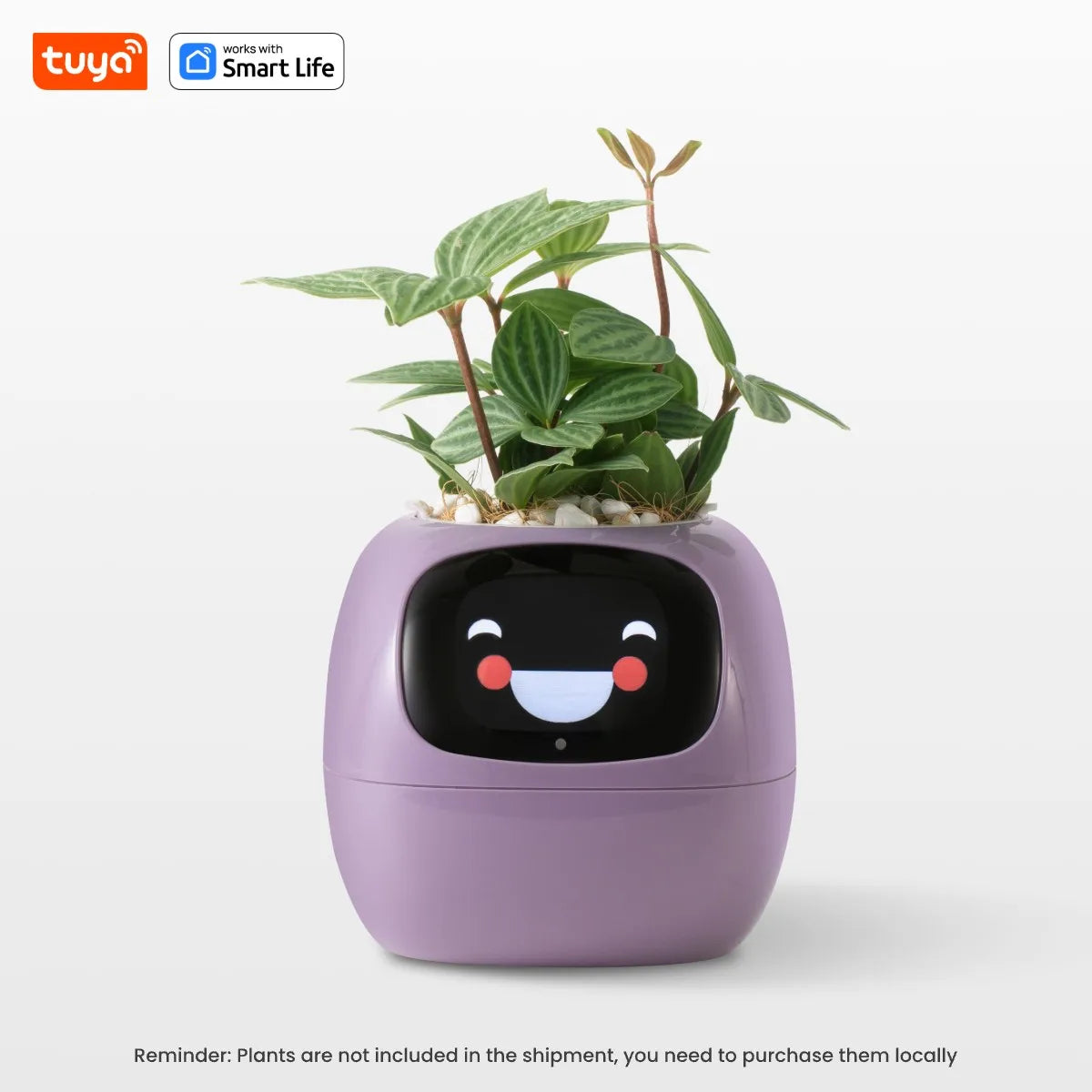 TUYA APP Ivy Smart Planter ,Endless Fun Over 49 Rich Expressions,7 Smart Sensors , AI Chips Make Raising Plants Easy and Fun Home Gardening Supplies