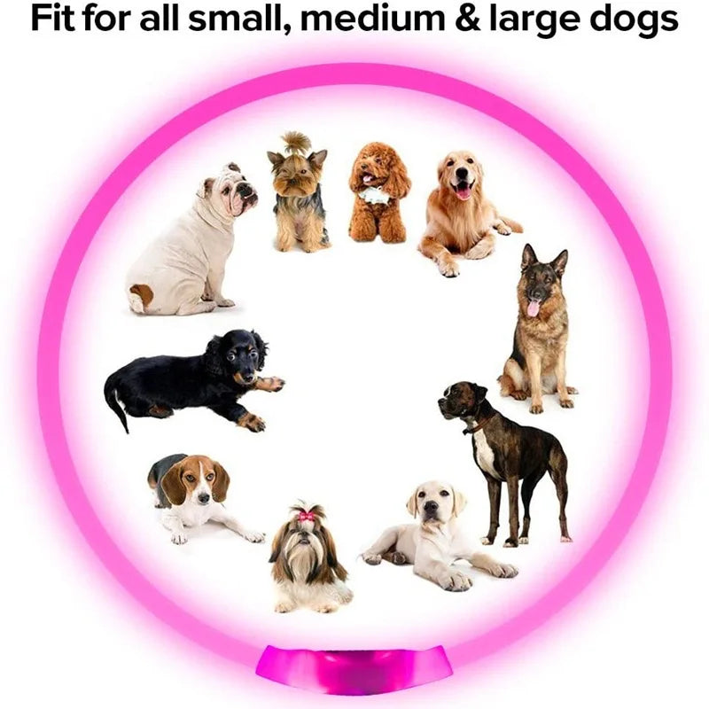 NEW Arrivals Led Dog Collar Luminous USB Cat Dog Collar Adjustable Fit for Small Medium Large Dogs Led Light Glowing Loss Prevention LED Collar For Dogs Pet Dog Accessories
