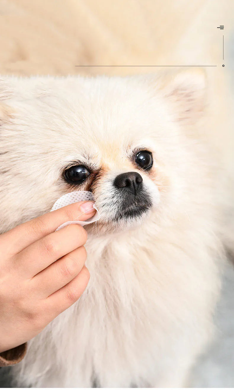 NEW Arrivals 3/5 Boxes Korean Pet Wipes 150PCS of Pet Wipes, Dogs Cats Eye and Ear Cleaning Wax Stain Removal Wipes, Puppy and kitten Hygiene Accessories Pets Health Care Supplies