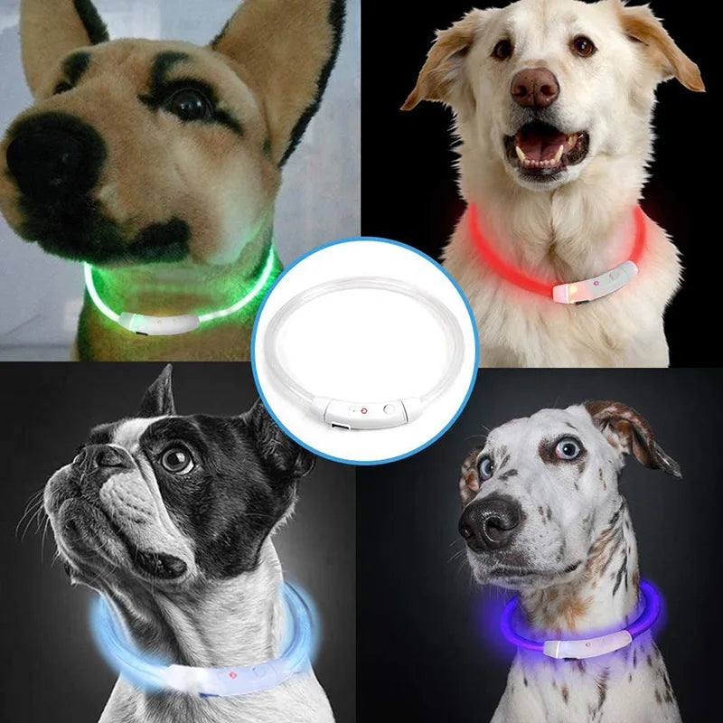 NEW Arrivals Led Dog Collar Luminous USB Cat Dog Collar Adjustable Fit for Small Medium Large Dogs Led Light Glowing Loss Prevention LED Collar For Dogs Pet Dog Accessories
