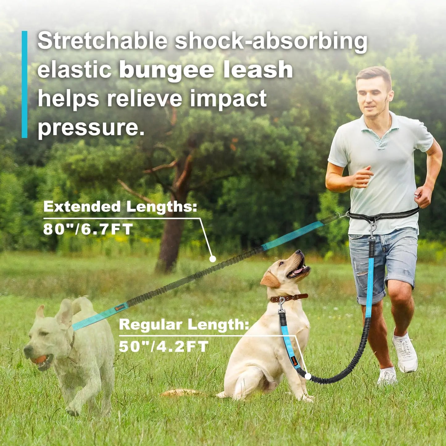 NEW Arrivals 2 in 1 Set Hands Free Dog Leash, Adjustable Waist Leash for Dog Handle Bungee with Reflective Stitches Outdoor Walking Hiking Running Leash Pets Accessories